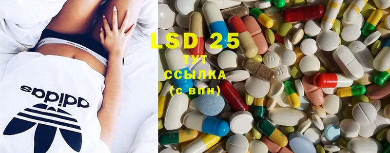 LSD-25 экстази кислота  Анадырь 